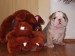 2009_03190172.JPG