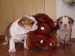 2009_03190173.JPG