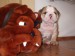 2009_03190175.JPG