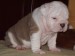 2009_03190206.JPG