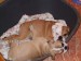 2008_03090013.JPG