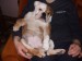 2008_03090038.JPG