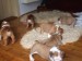 2008_12310239.JPG