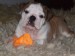2008_12310089.JPG