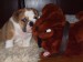2008_12310207.JPG