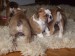 2008_12310240.JPG