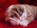2008_01290244.JPG