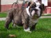 2008_09250075.JPG