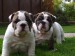 2008_09250074.JPG