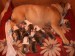 2007_11260079.JPG